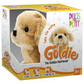 Pugs Play Goldie The Golden Retriever ST - PAP05 - Colorland Toys
